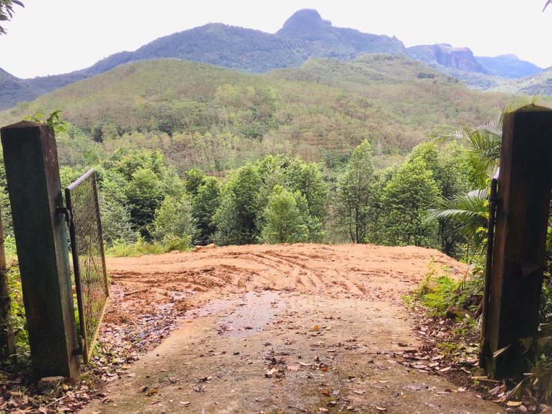 Bracedale Estate, Kegalle, Sri Lanka