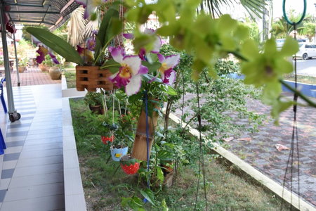 Hotel Sri Garden Sdn. Bhd., Kangar, Malaysia