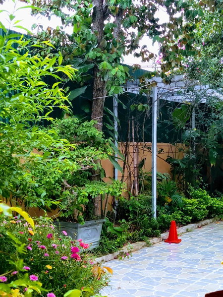 Bong Mai Thai Hoa Hotel, Làng Dương, Vietnam