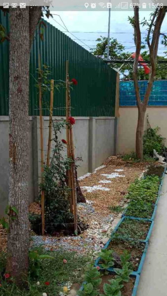 Bong Mai Thai Hoa Hotel, Làng Dương, Vietnam