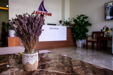 Lavender Hotel, Dong Hoi, Vietnam