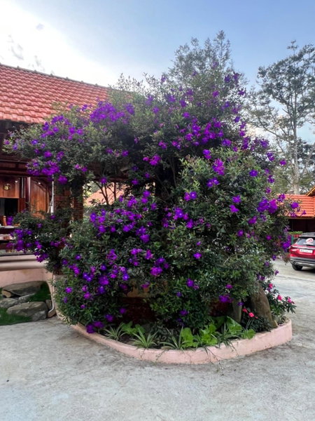Homestay Bảo Lộc Ngọc Kim, Bao Loc, Vietnam