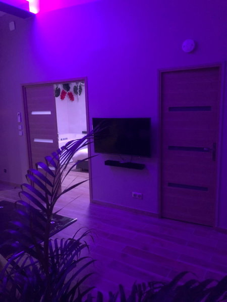 L EDEN et sa love room avec balnéothérapie, Maisons-Alfort, France
