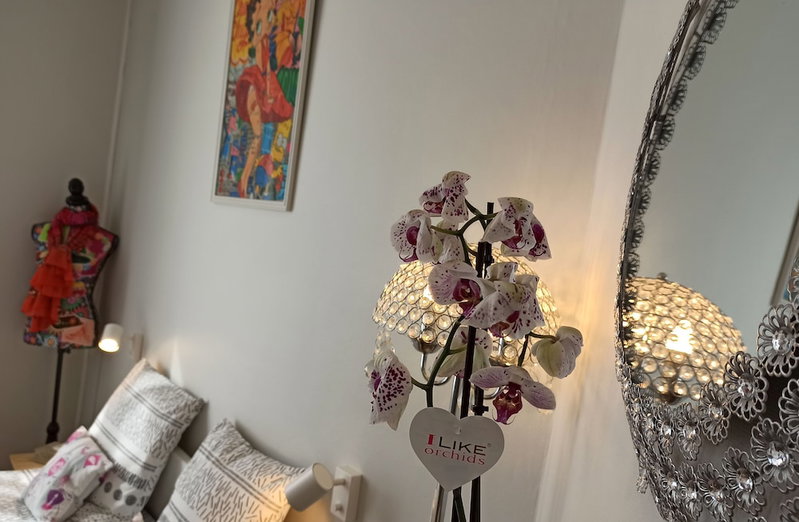 B&B My Art House - Douai Centre, Douai, France
