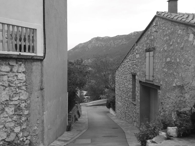 Les lavandes, Duilhac, France