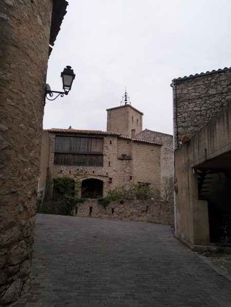 Les lavandes, Duilhac, France