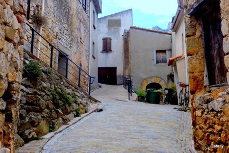 Les lavandes, Duilhac, France