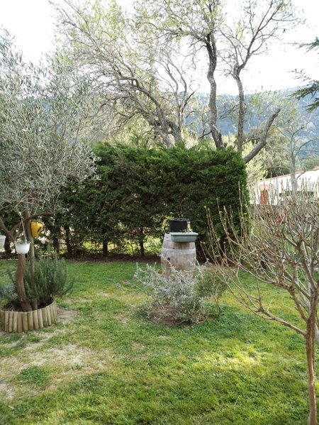 Les lavandes, Duilhac, France