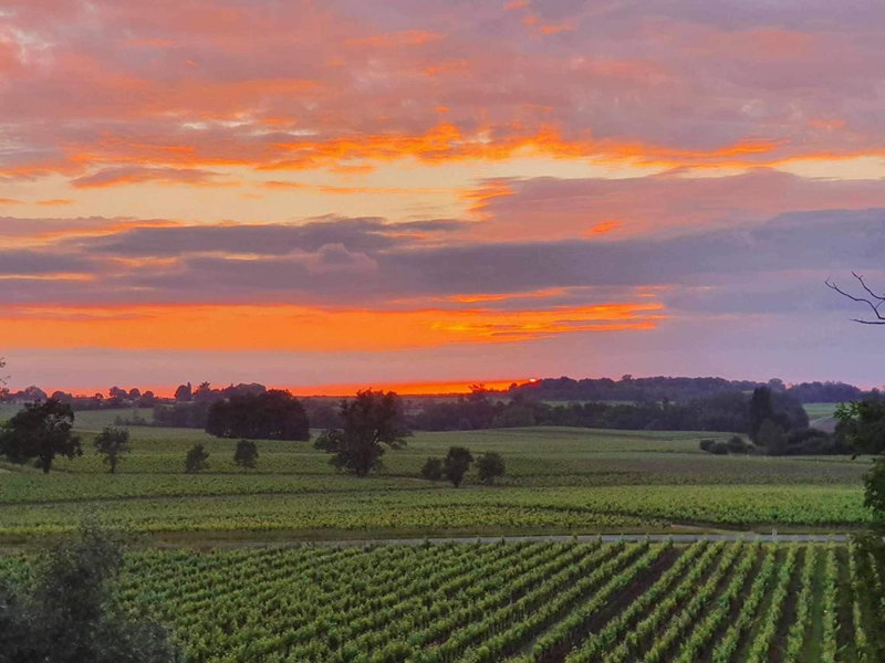 Demeures & Château - Fleur de Roques - Puisseguin Saint Emilion, Puisseguin, France