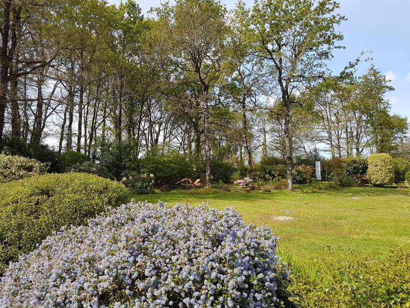 l'Arbre Voyageur, Locoal-Mendon, France