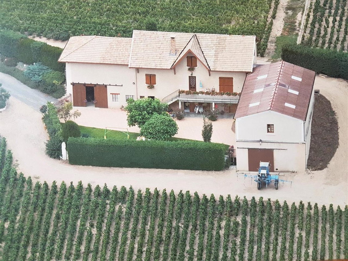 Hotel · Chambres d hôtes au Domaine de Robert, Fleurie