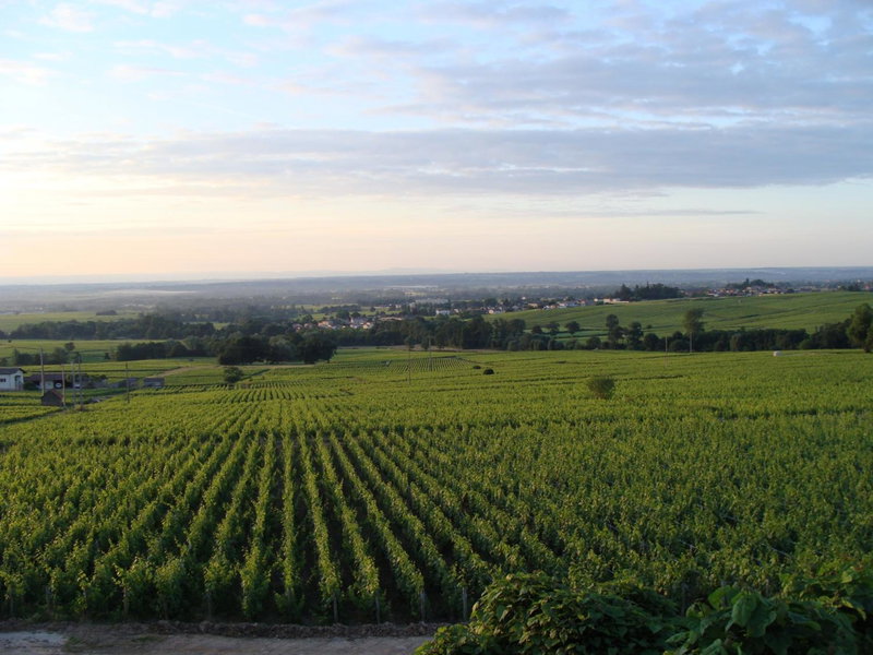 Chambres d hôtes au Domaine de Robert, Fleurie, France