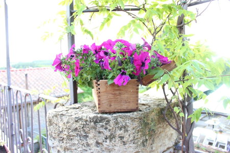 Le Terrazze Del Chianti b&b Residenza d'Epoca e di Charme, Tavarnelle in Val di Pesa, Italy
