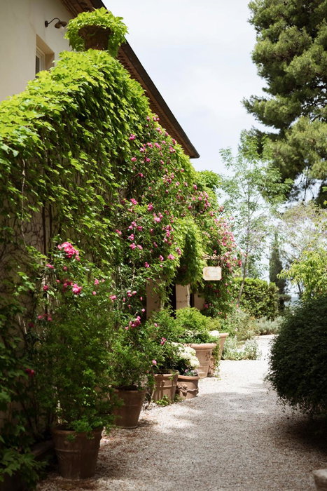 Boutique Hotel Poggio ai Santi - Adults Only, San Vincenzo, Italy