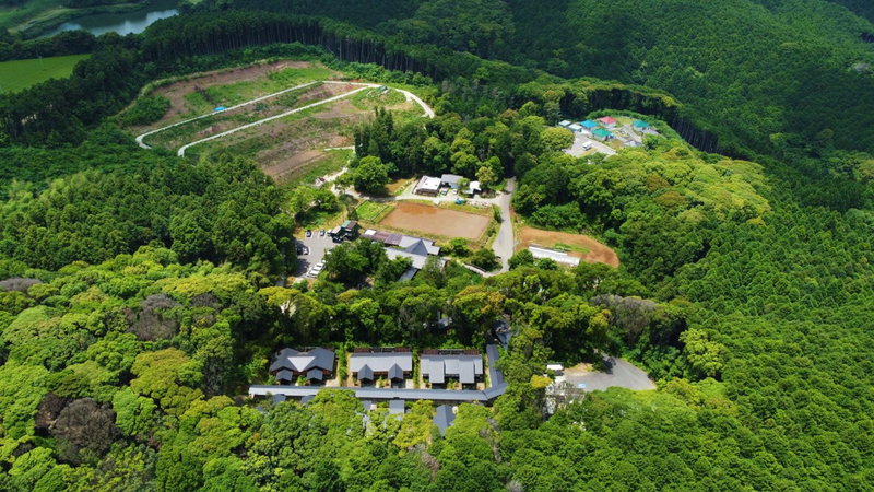 Tsuwabuki no Hana, Omura, Japan