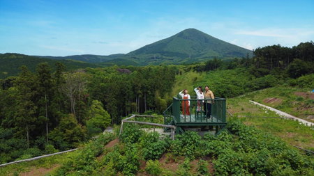 Tsuwabuki no Hana, Omura, Japan