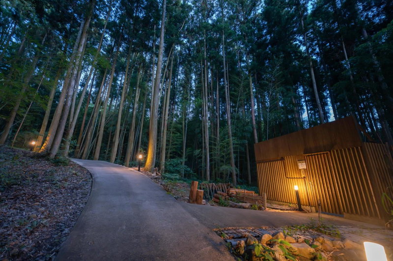 Tsuwabuki no Hana, Omura, Japan