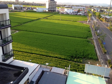 ホテル Tiger & Dragon 男塾ホテルグループ, Gifu, Japan