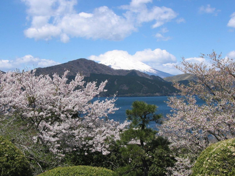 Taisho Modern Villa Zen, Hakone, Japan