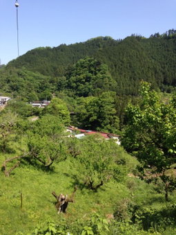 Otsu Nature Garden, Akiruno, Japan