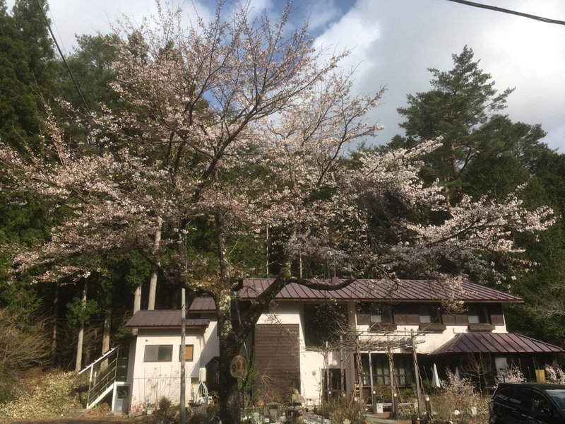 Pension Lanpou, Fujikawaguchiko, Japan