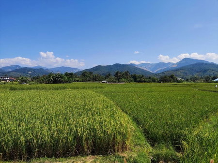 Vieng pua homestays, Nan, Thailand