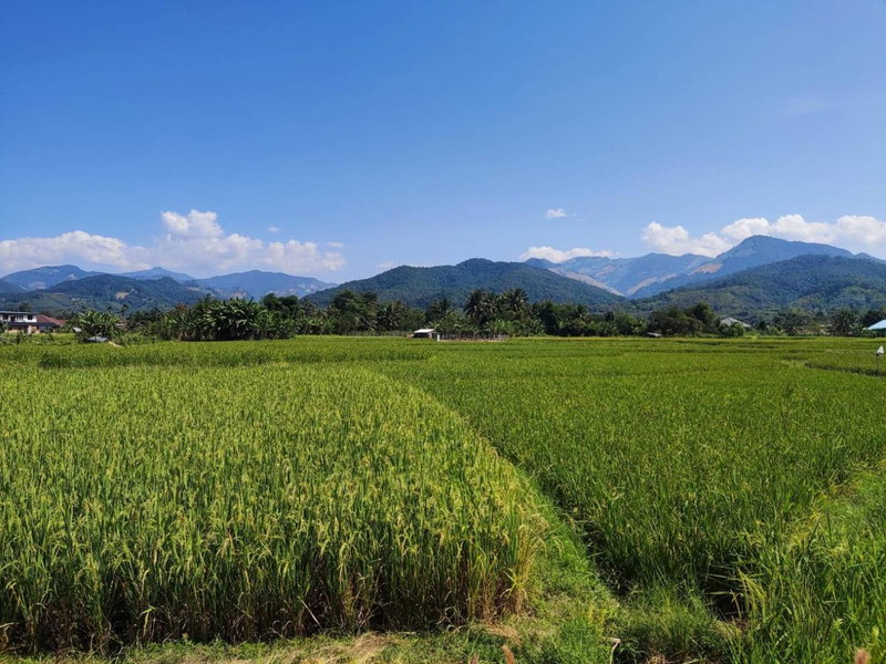 Vieng pua homestays, Nan, Thailand