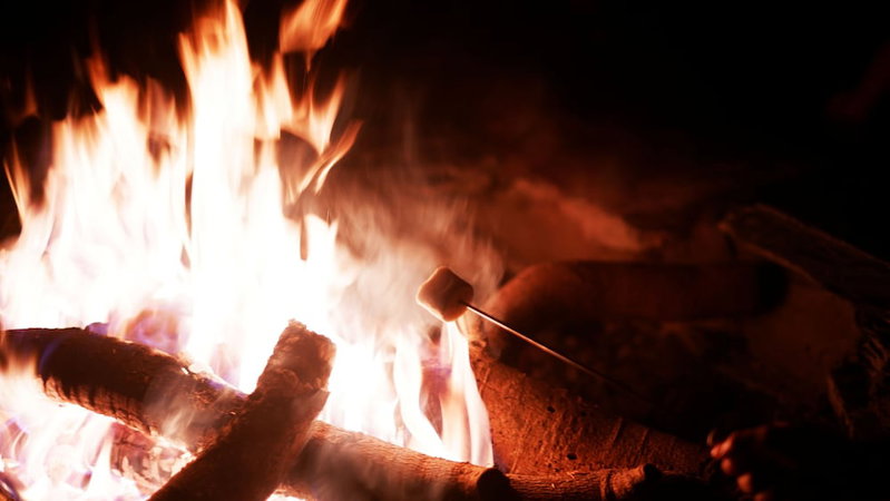 The Wild Khao Yai - Glamping, Pak Chong, Thailand