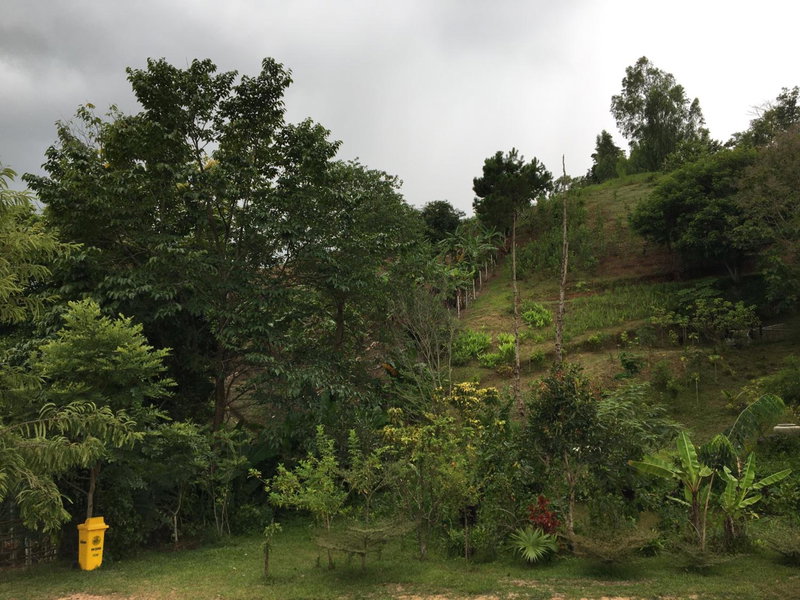 Khaokhopimphupha farmstay เขาค้อพิมภูผาฟาร์มสเตย์ ไม่มีไฟฟ้า น้ำจากน้ำตกธรรมชาติ Low cabon with Sustainability cares, Ban Non Na Yao, Thailand
