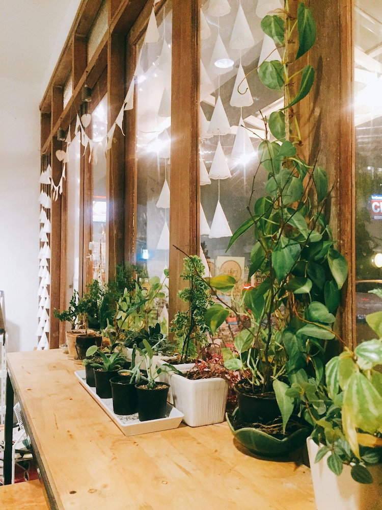 Rimnim Hostel, Thailand