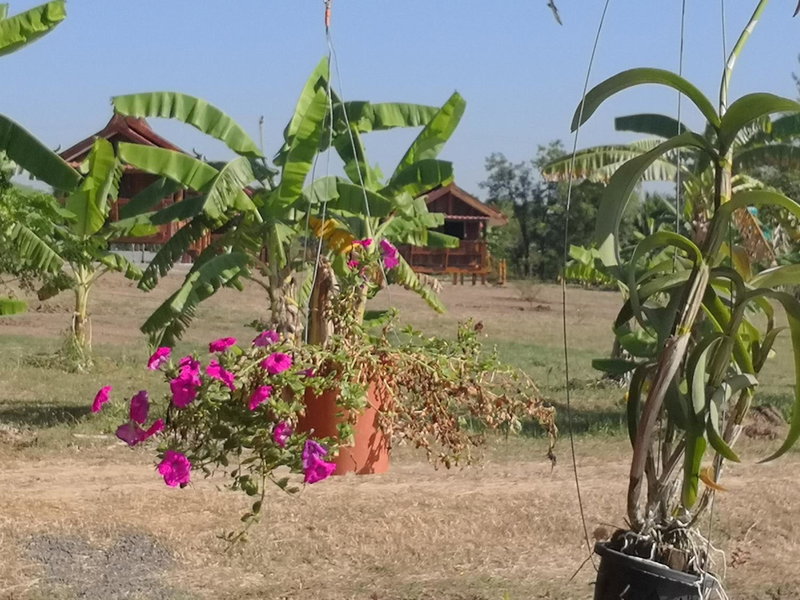 Pumaka Resort, Ban Nong Kok, Thailand