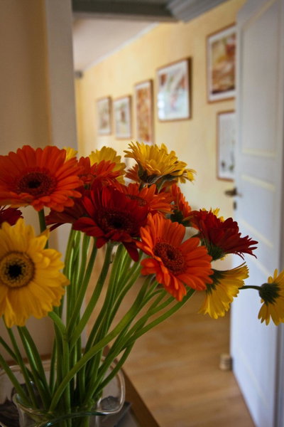 Ferienzimmer BlatnerS Bissersheim, Bissersheim, Germany