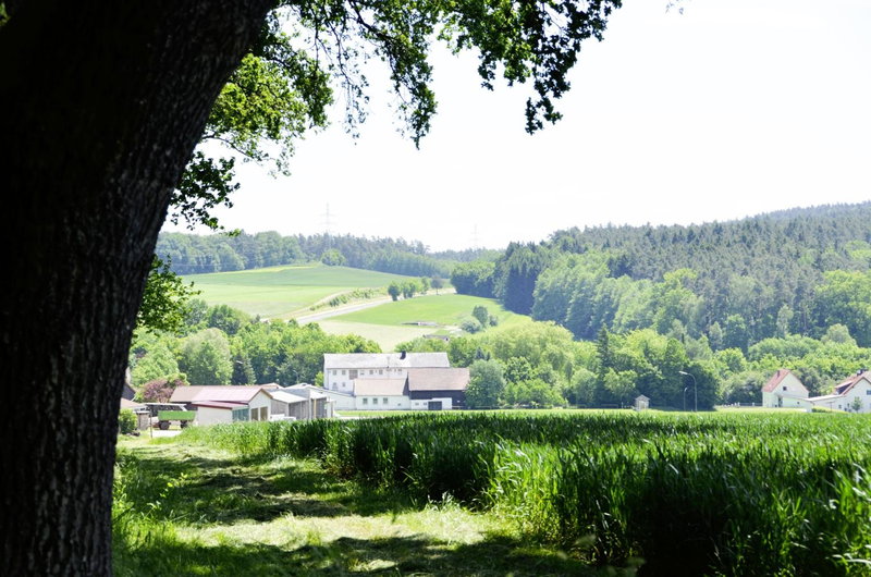 Hotel Gasthof Am Forsthof, Sulzbach-Rosenberg, Germany