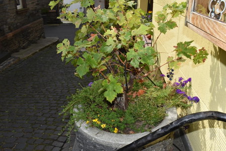 Landgasthof Zur Sonne, Enkirch, Germany