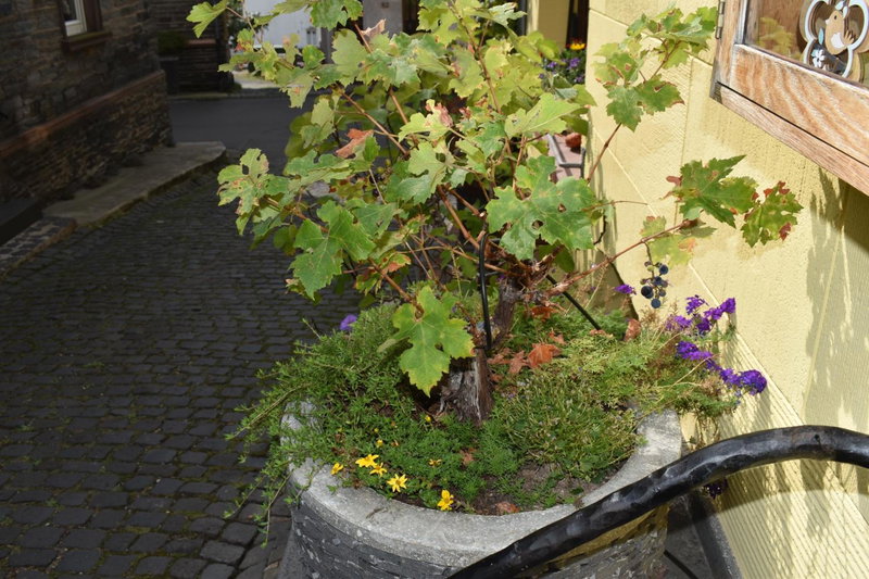 Landgasthof Zur Sonne, Enkirch, Germany