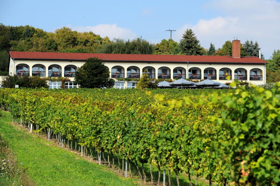 Hotel Rebschule, Freyburg, Germany