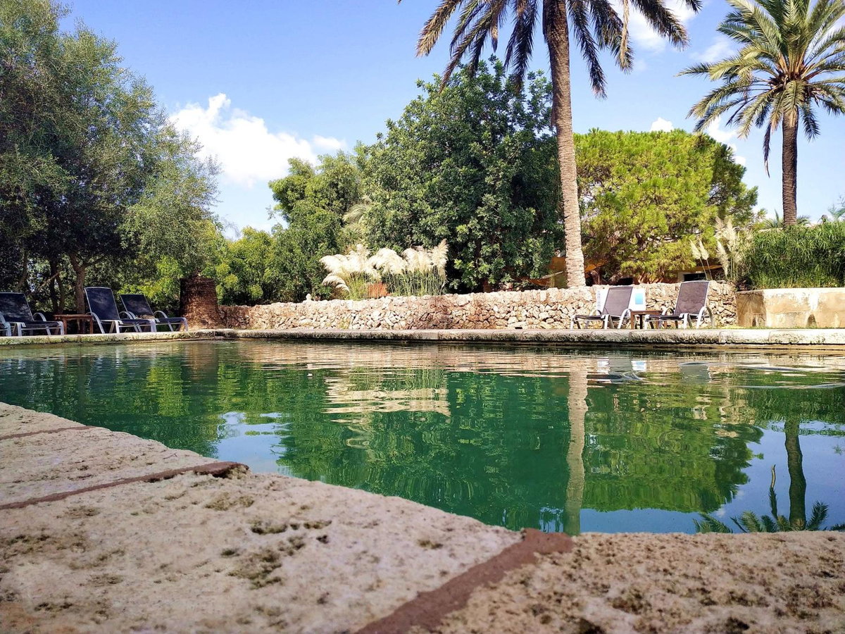 Petit Hotel Es Figueral, Spain