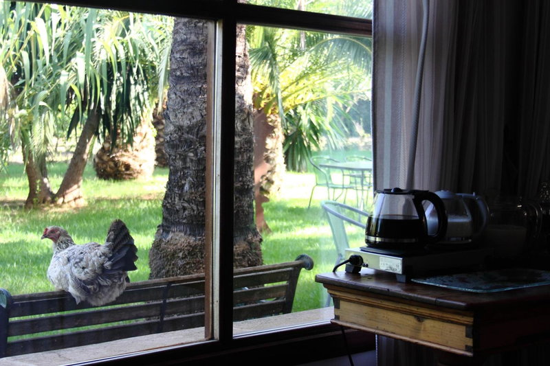 Petit Hotel Es Figueral, Campos, Spain