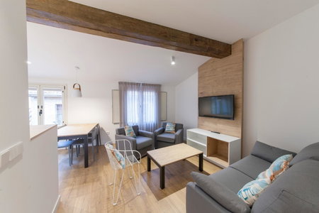 Antique Pamplona Tres Reyes Apartments, Pamplona, Spain