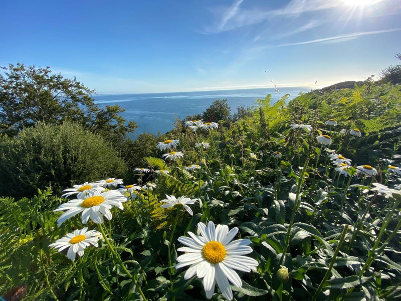 Rooms At Babbacombe, Torquay, United Kingdom