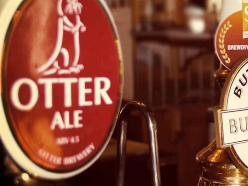 The Old Inn, Axminster, United Kingdom