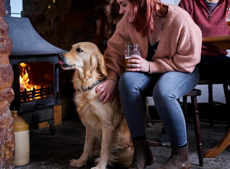 The Martlet Inn, Wellington, United Kingdom