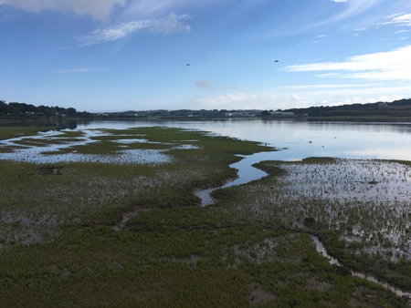 The Old Quay House, Hayle, United Kingdom