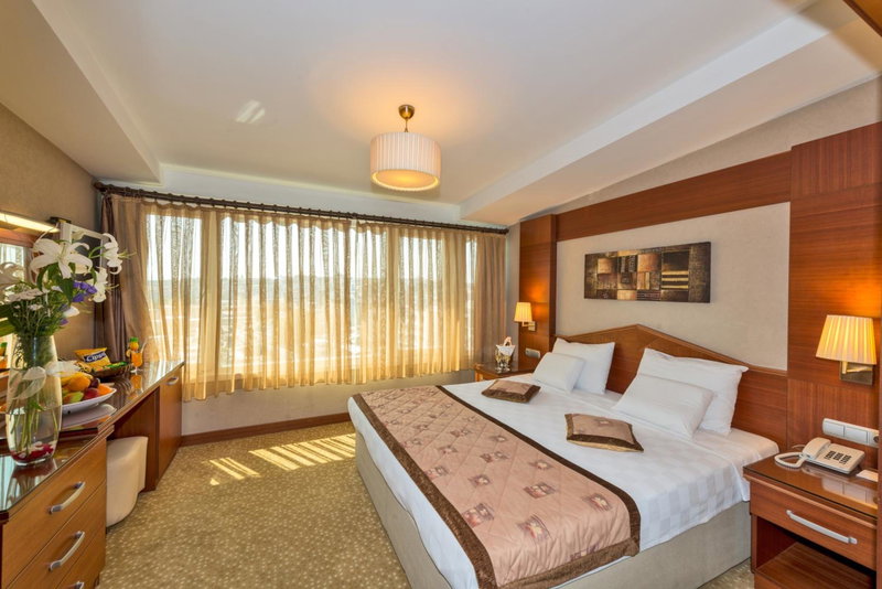 Vatan Asur Hotel, Istanbul, Turkey