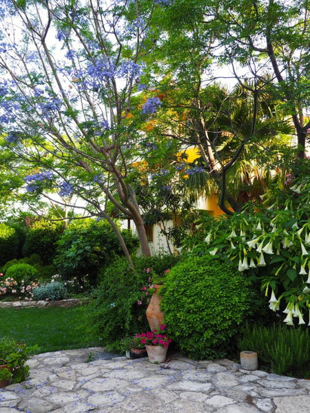 Emel Pension, Guzelcamlı, Turkey