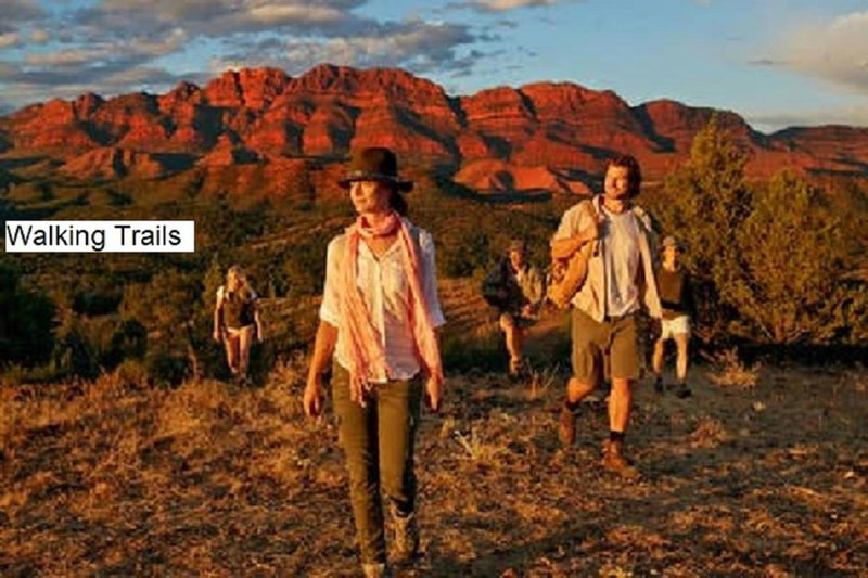 Hawker Bed and Breakfast, Hawker, Australia