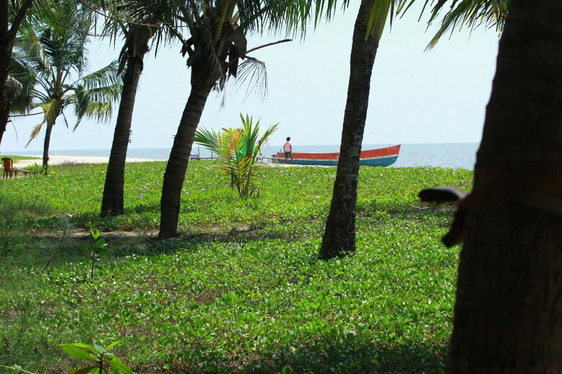 Marari Nest Beach Homestay, Mararikulam, India