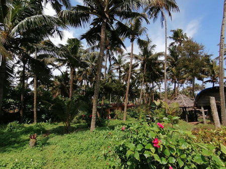 Sukriti beach Resort, Varkala, India