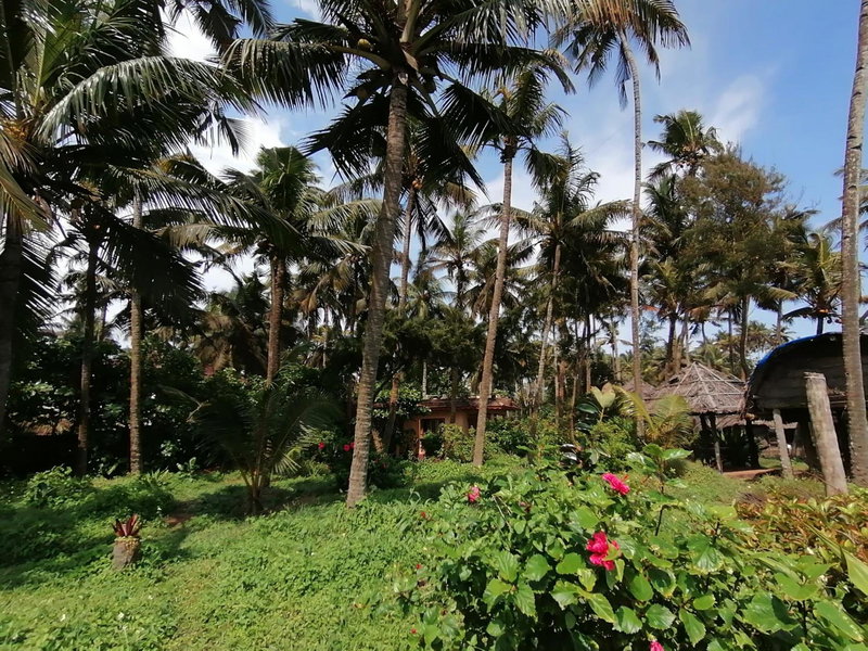 Sukriti beach Resort, Varkala, India