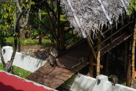 VanaJyotsna Forest Home, Maraiyūr, India